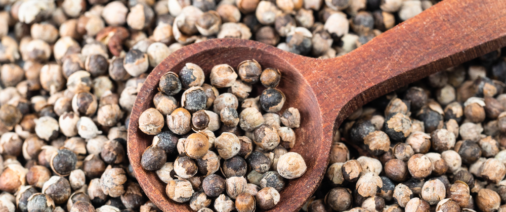 Mönchspfeffer Wirkung