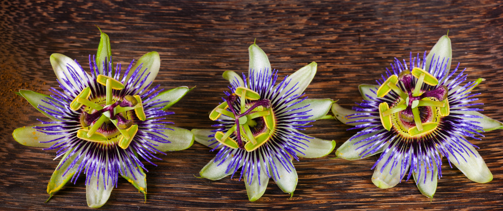 Vitamin B6 Lebensmittel