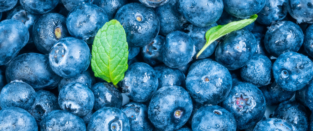 Polyphenole Lebensmittel