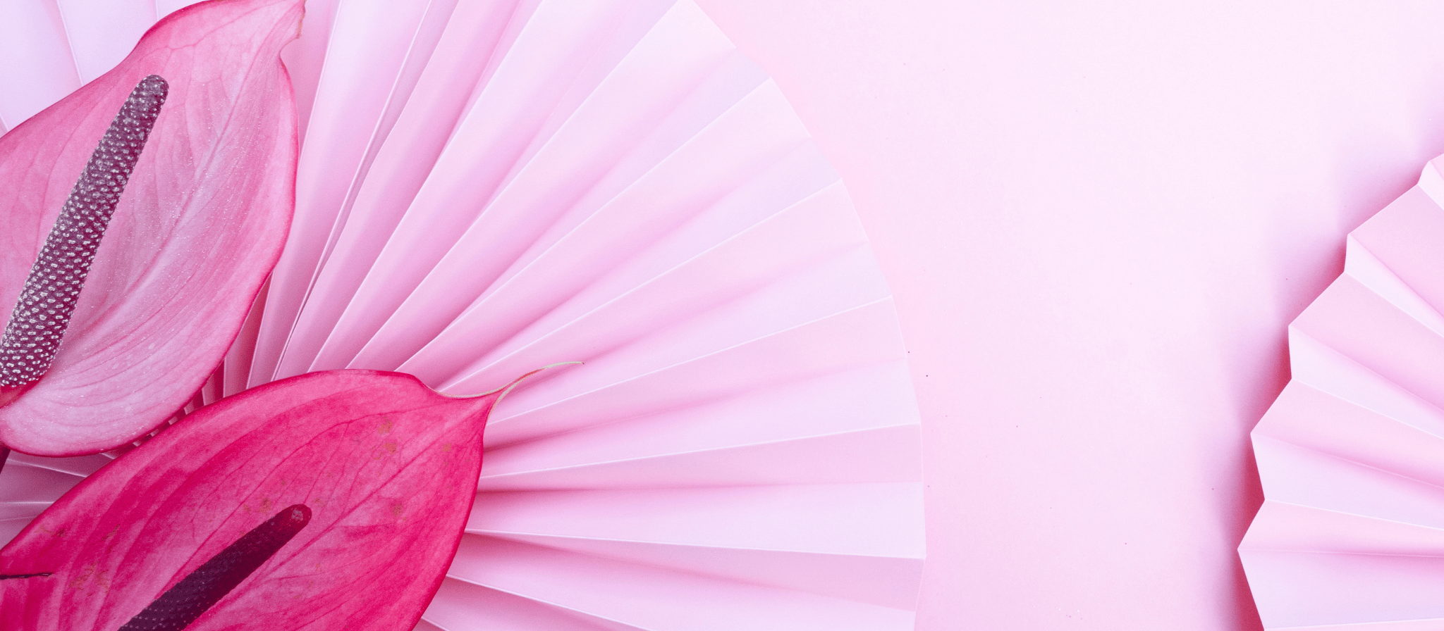 Progeson Mangel Wirkung