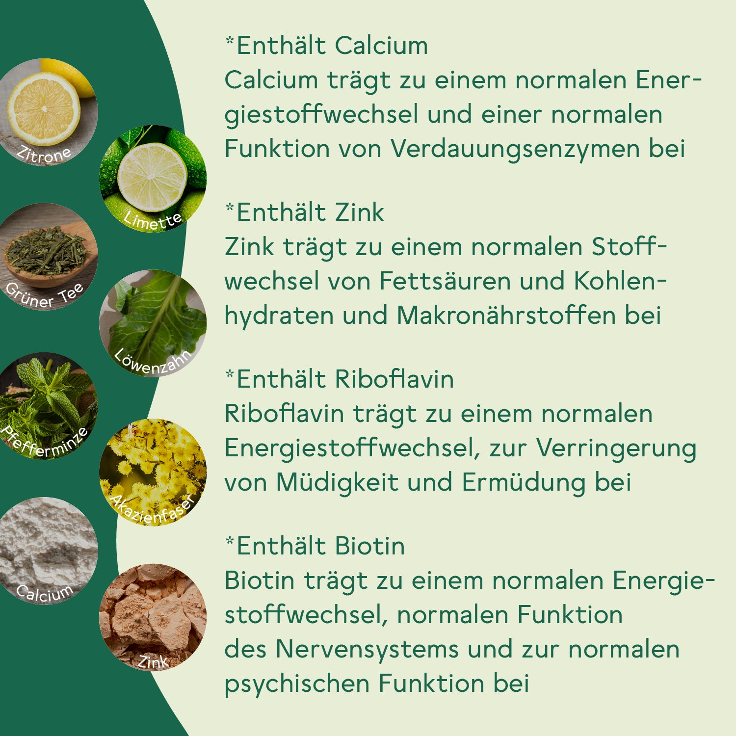 Ballaststoff Komplex Zitrone-Limette 6er Set