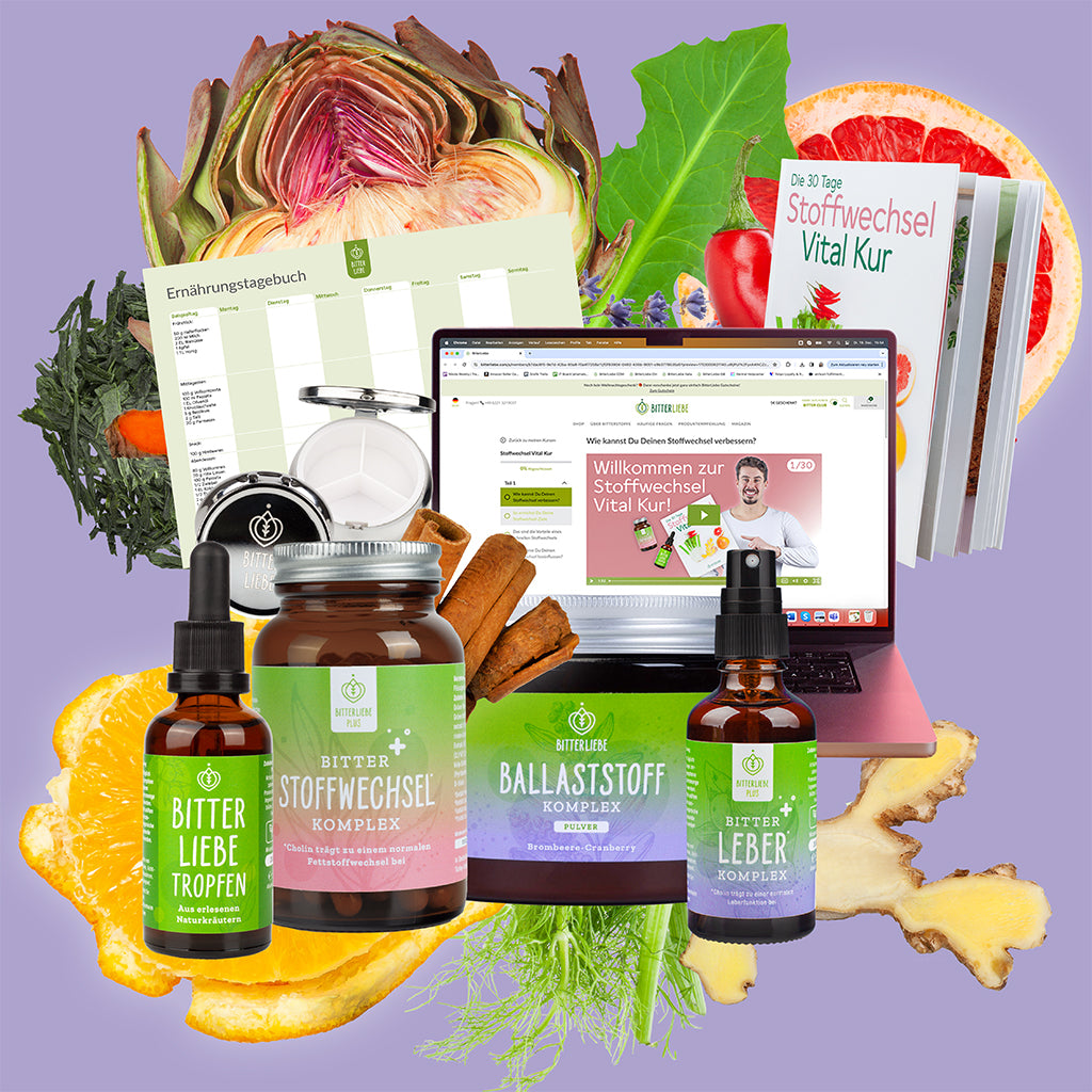 Durchstarter Paket 2025 mit Geschmack und 4 Gratis Produkten