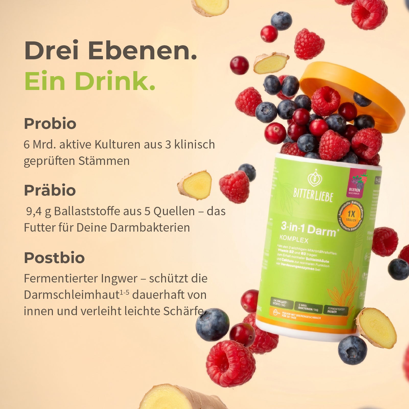 DarmLiebe Starter-Paket
