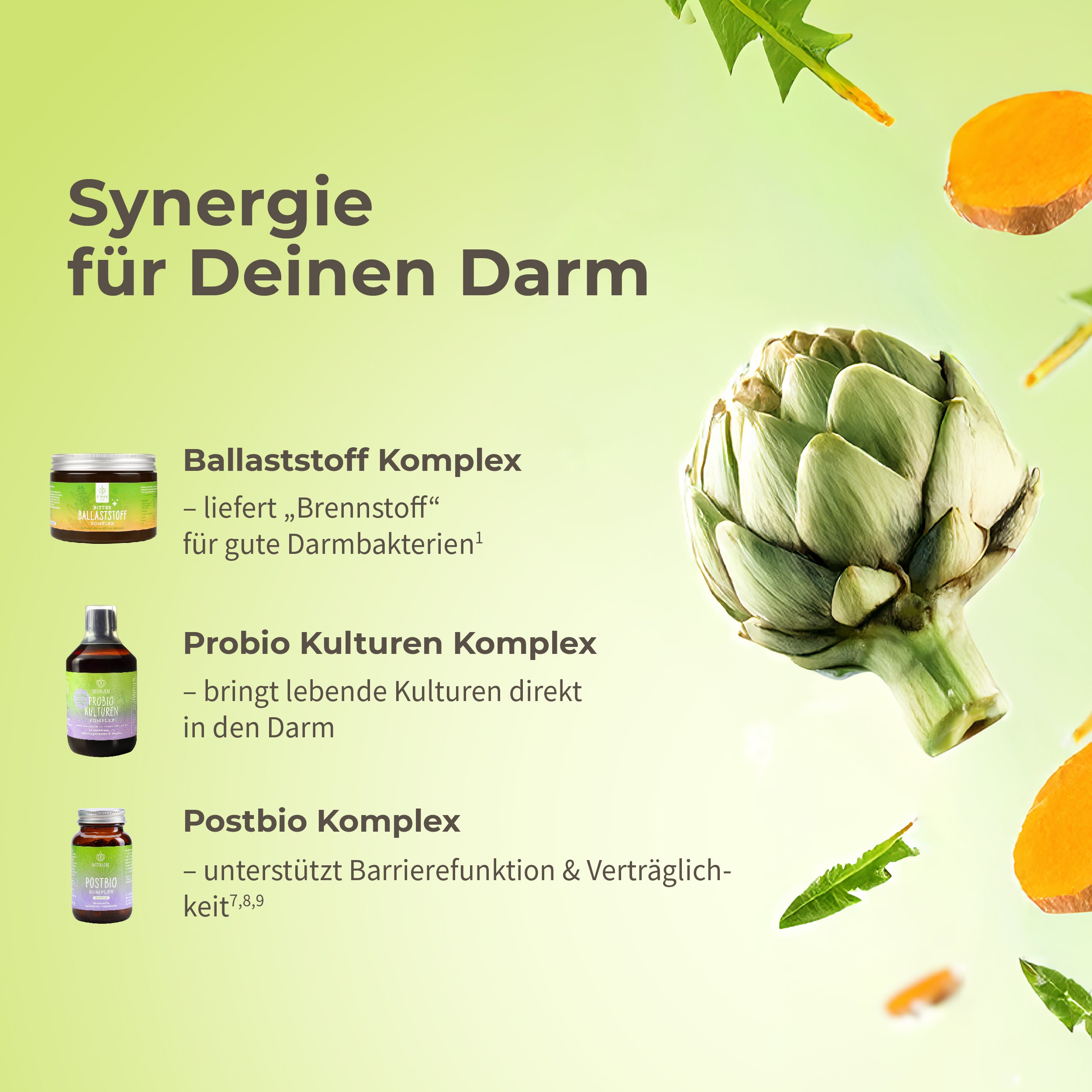 Darm Durchstarter 2026