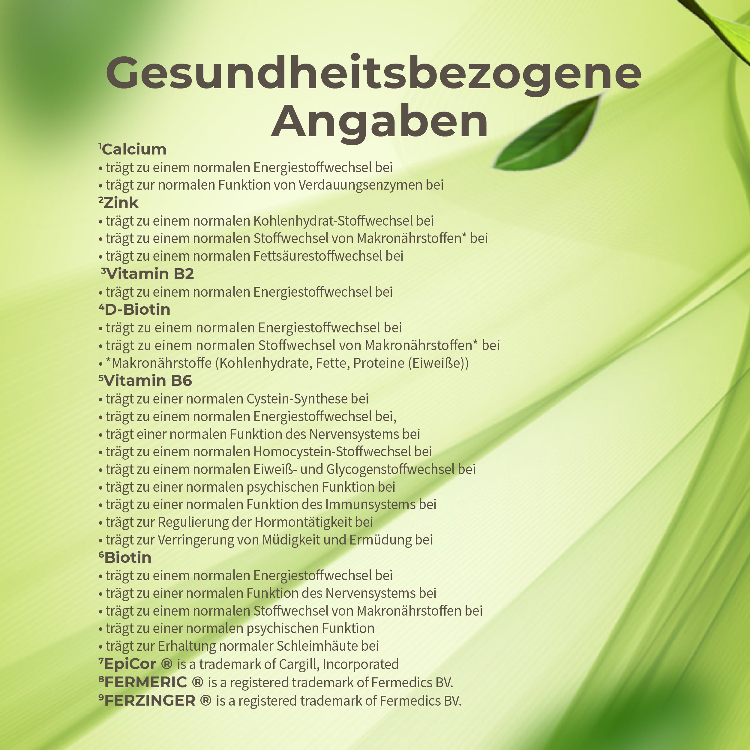 Darm Durchstarter 2026