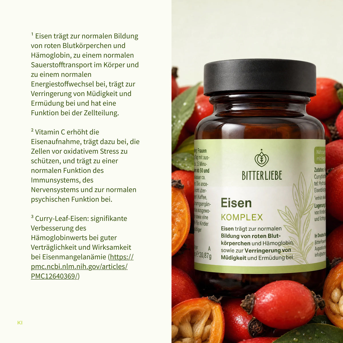 Eisen Komplex