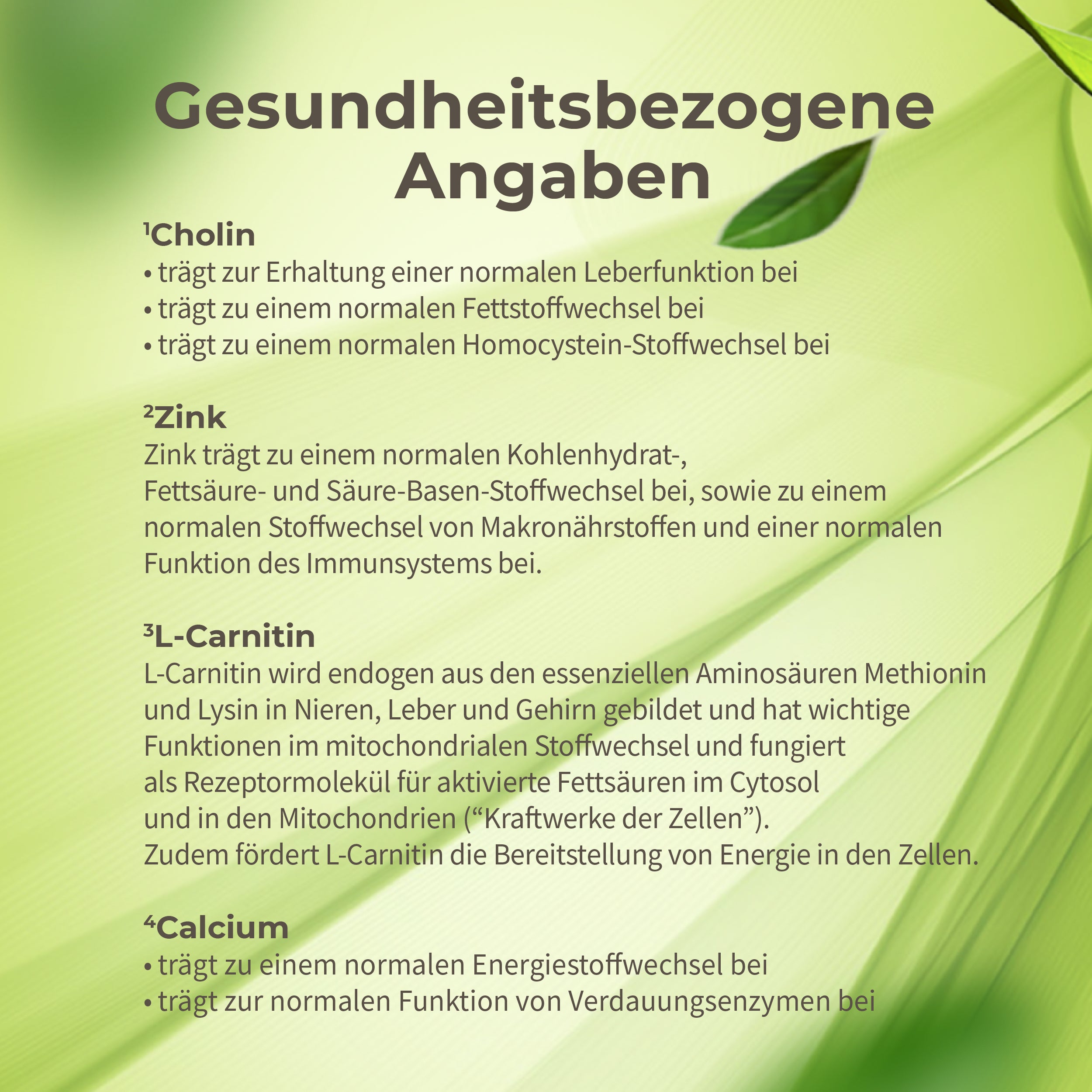 Leber Reset Paket