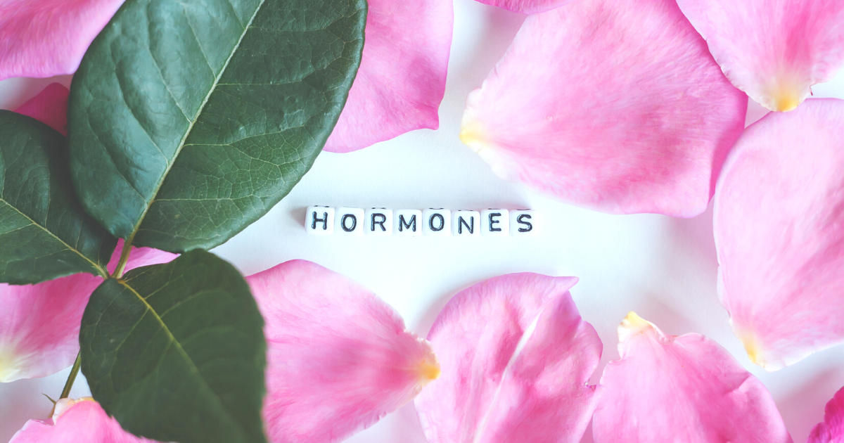 Guide: Hormonhaushalt regulieren – So kannst Du Deine Hormone ins Gleichgewicht bringen