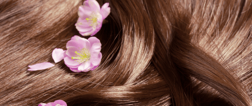 Omega 3 Haare