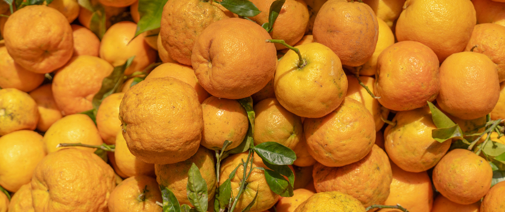 Bitterorange Synephrin