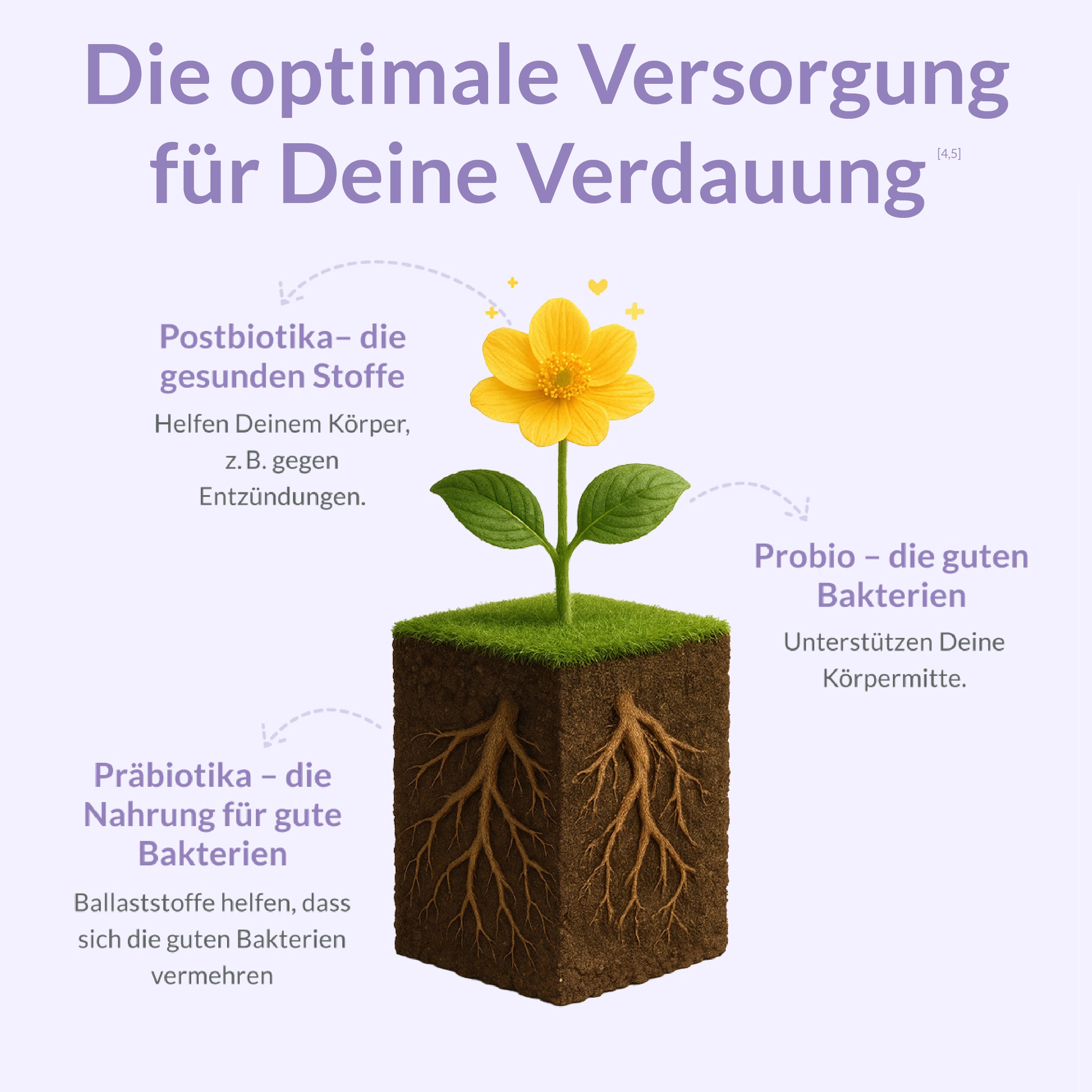 Postbio Komplex