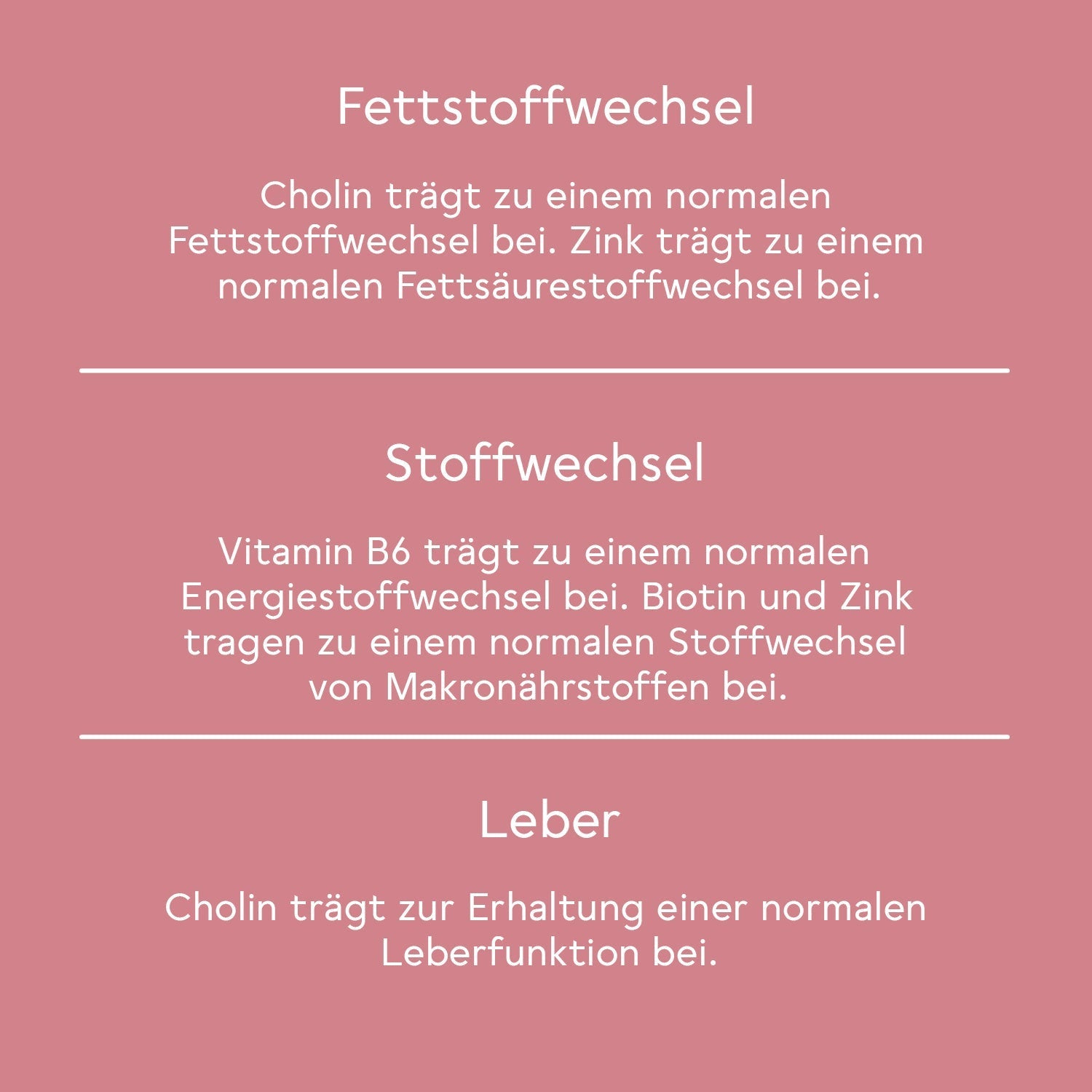 BitterLiebe Stoffwechsel* Boost Paket 95-DE