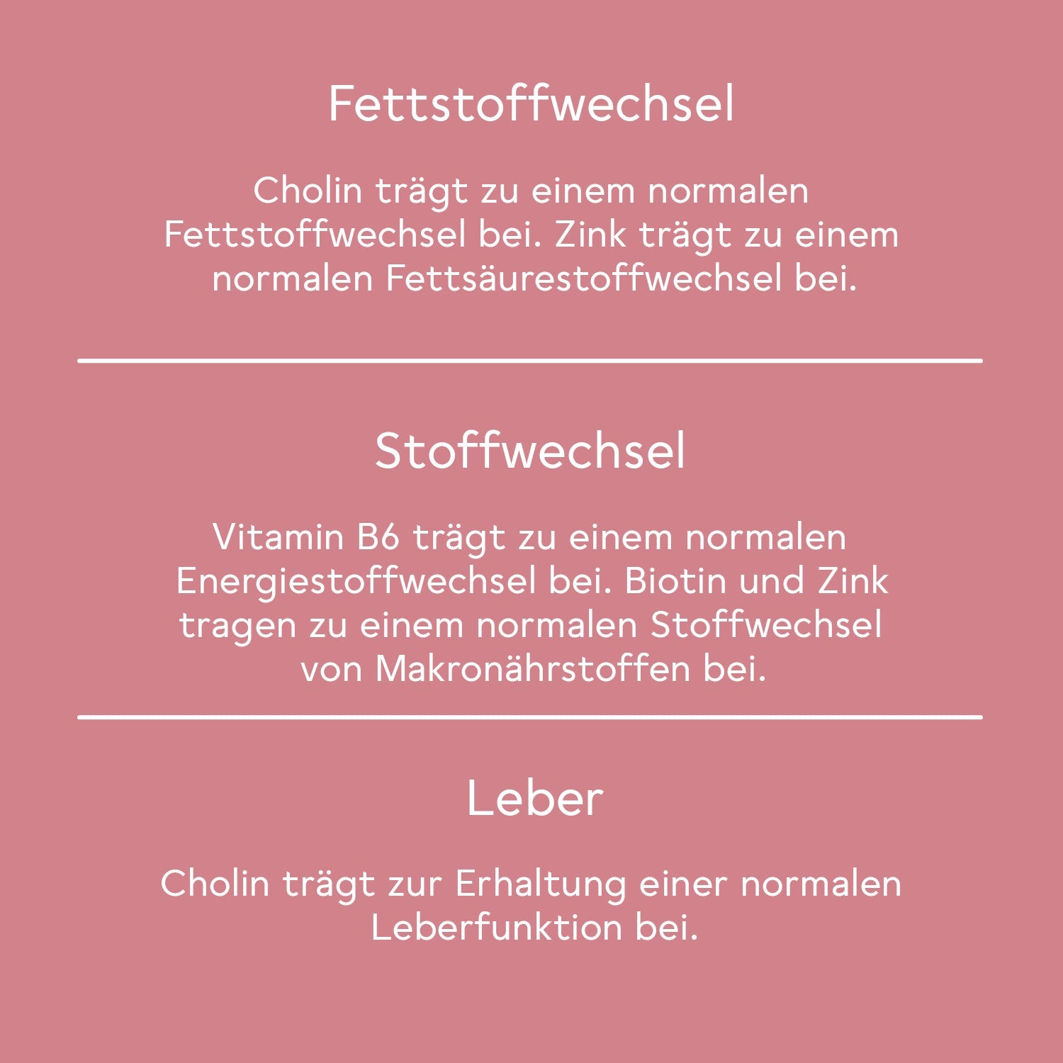 BitterLiebe Fitness-Paket 63-DE