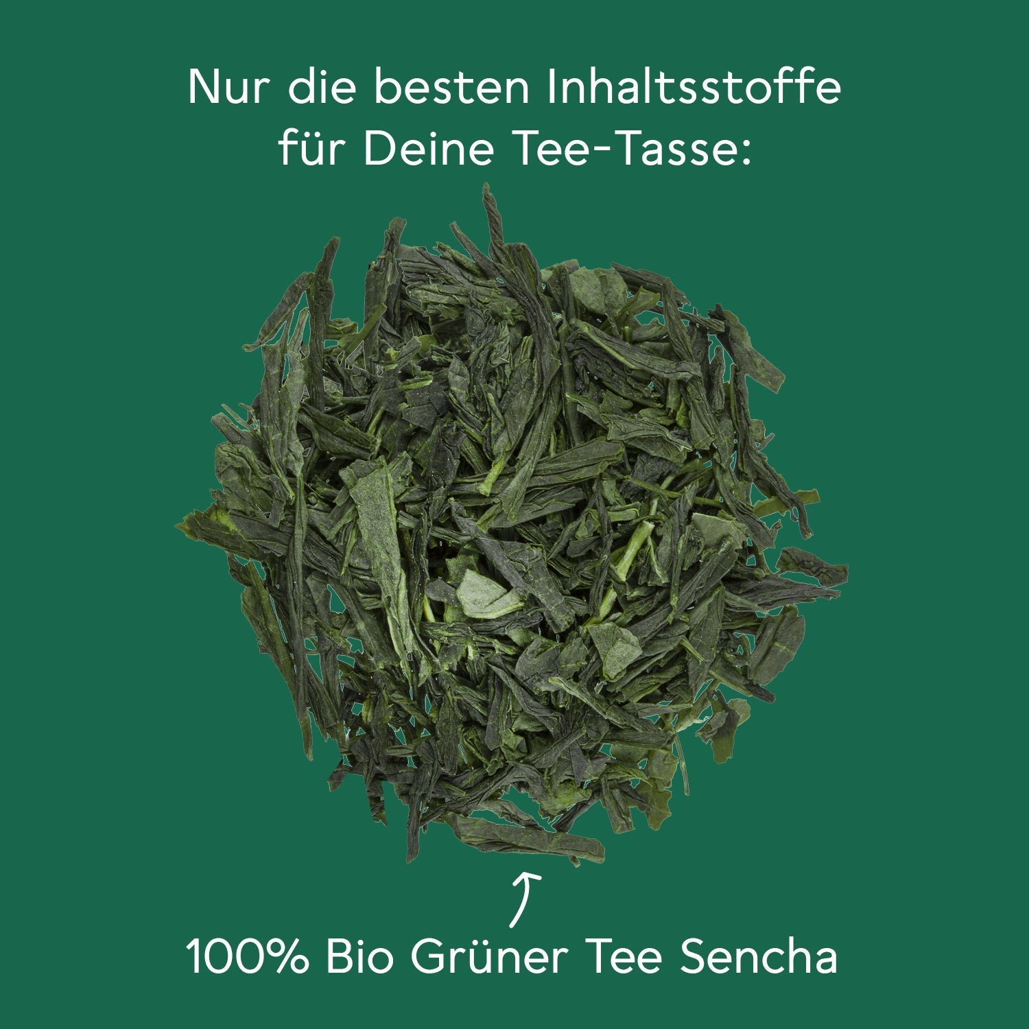 Grüner Tee - Set BL-TM-12-Set