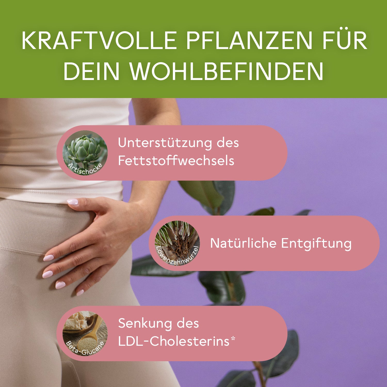 BitterLiebe Natural Balance Paket