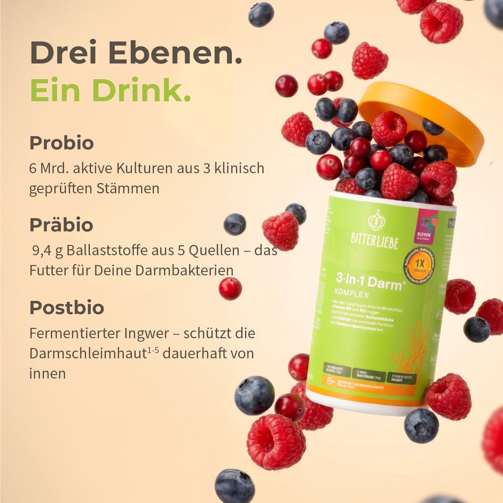 DarmLiebe Starter-Paket