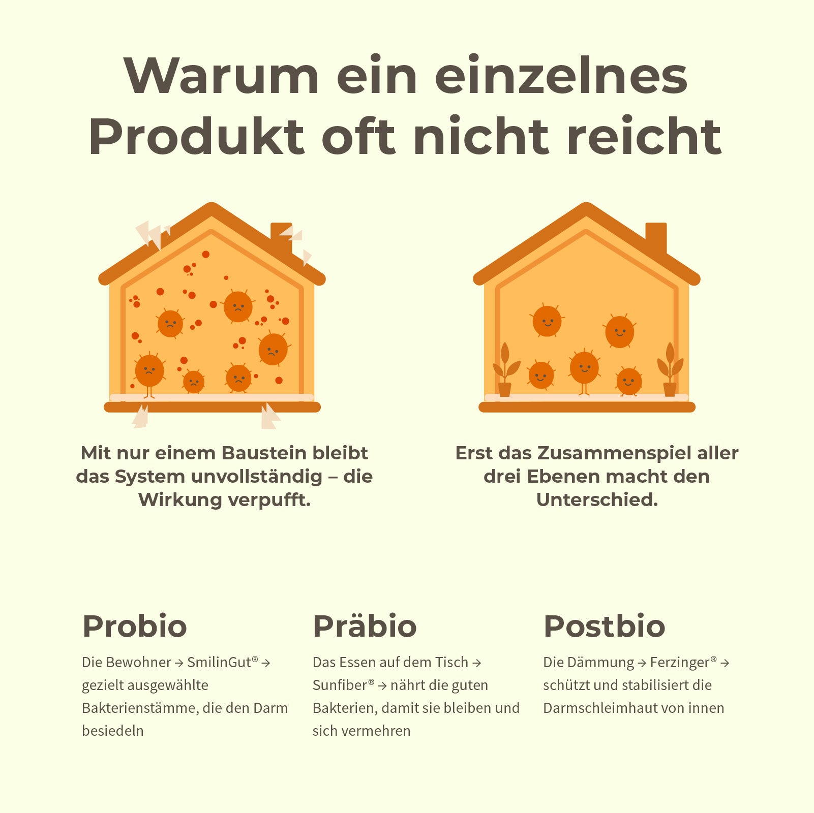 DarmLiebe Starter-Paket