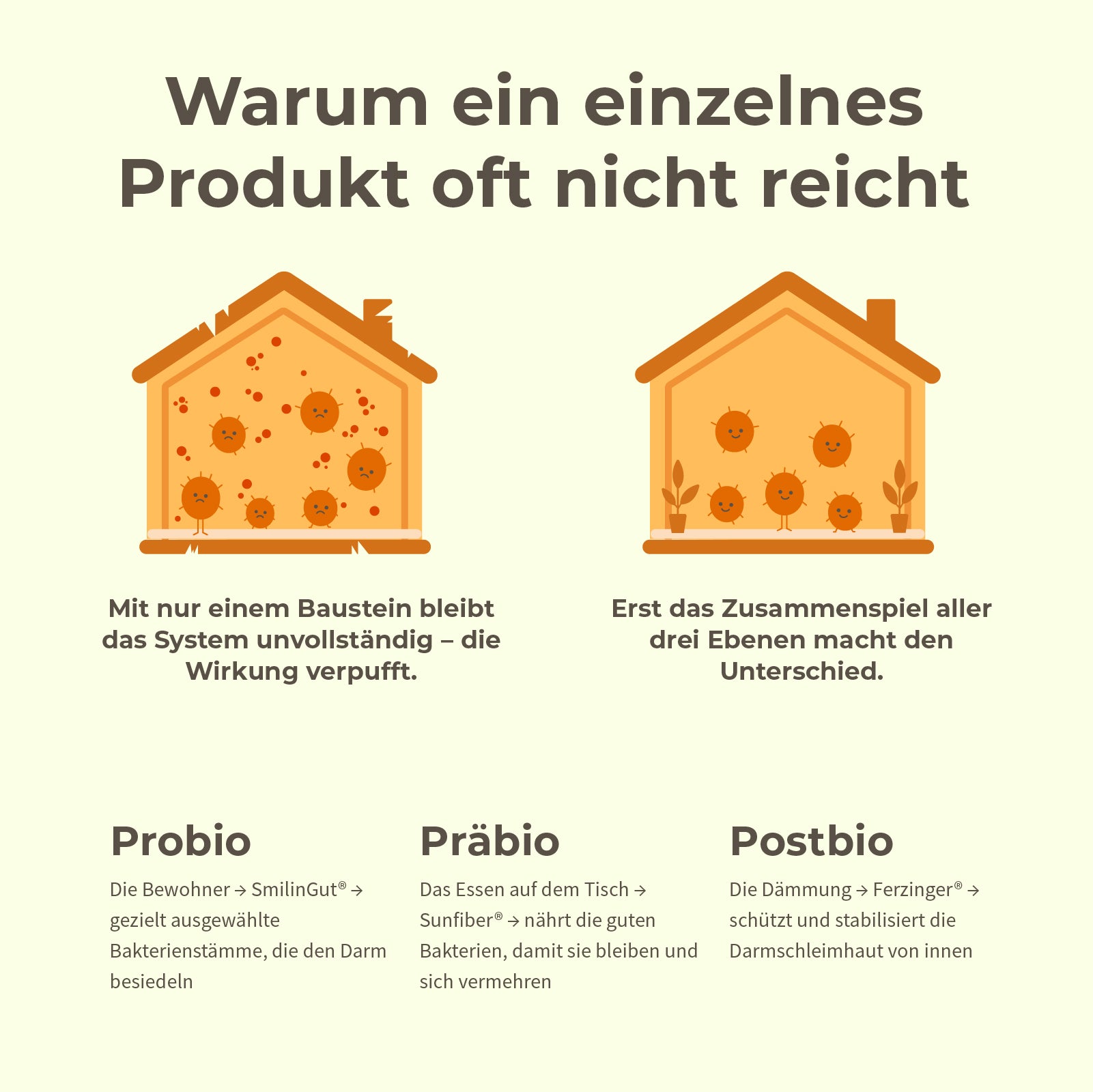 DarmLiebe Starter-Paket
