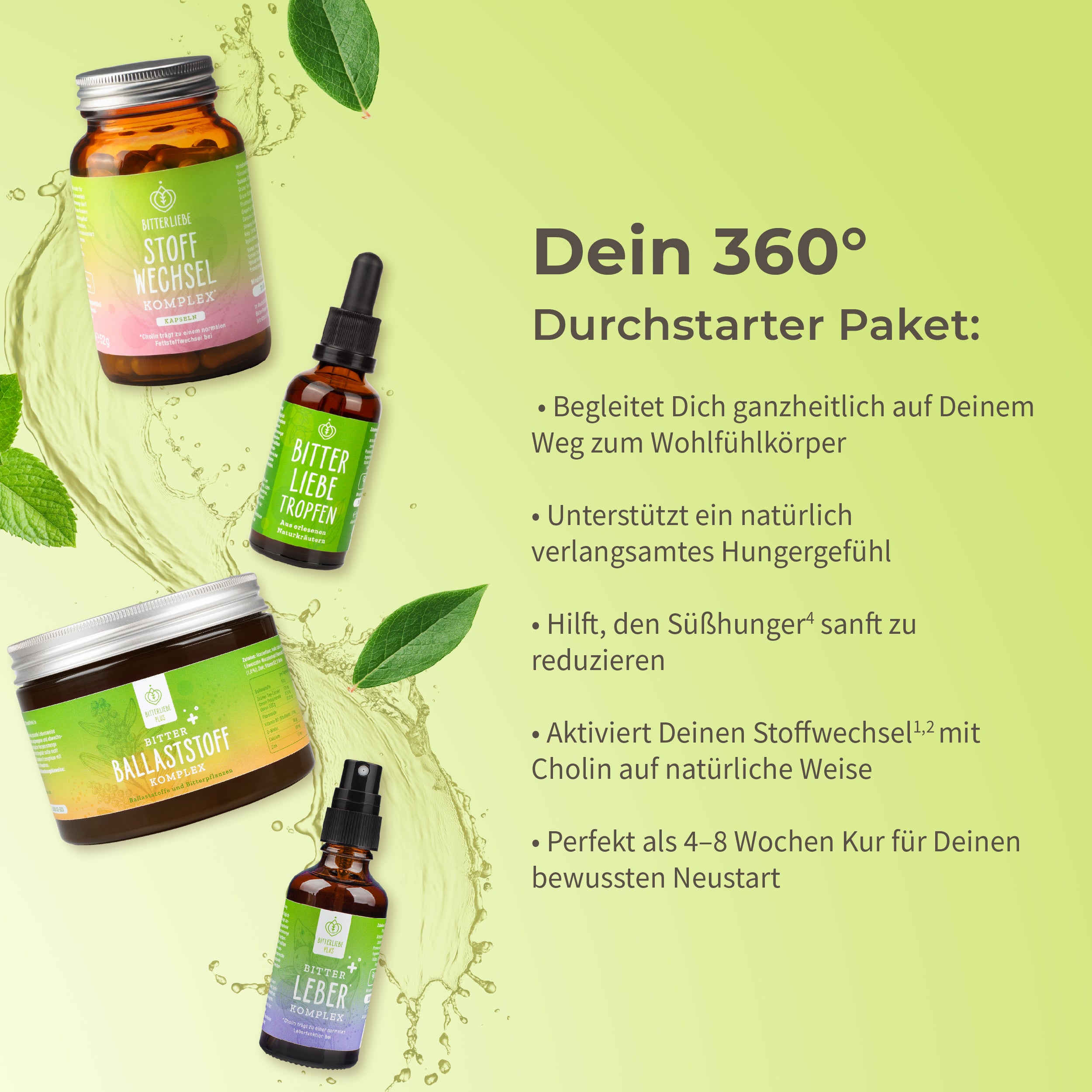 Durchstarter Paket 2026
