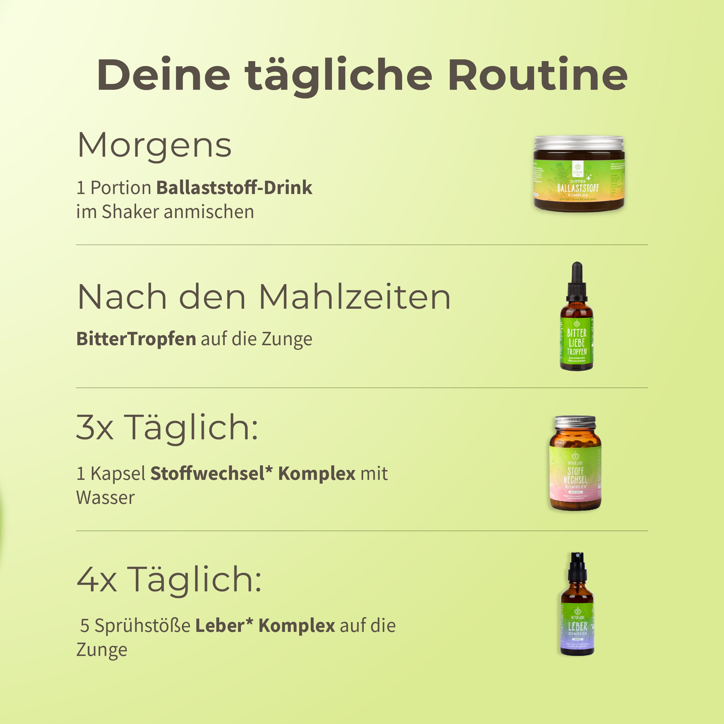 Durchstarter Paket 2026