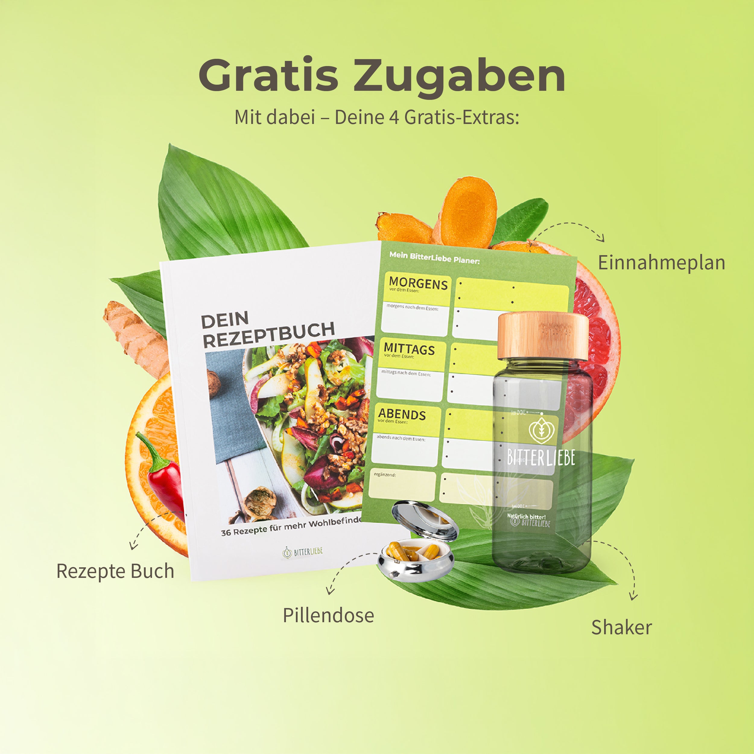 Durchstarter Paket 2026