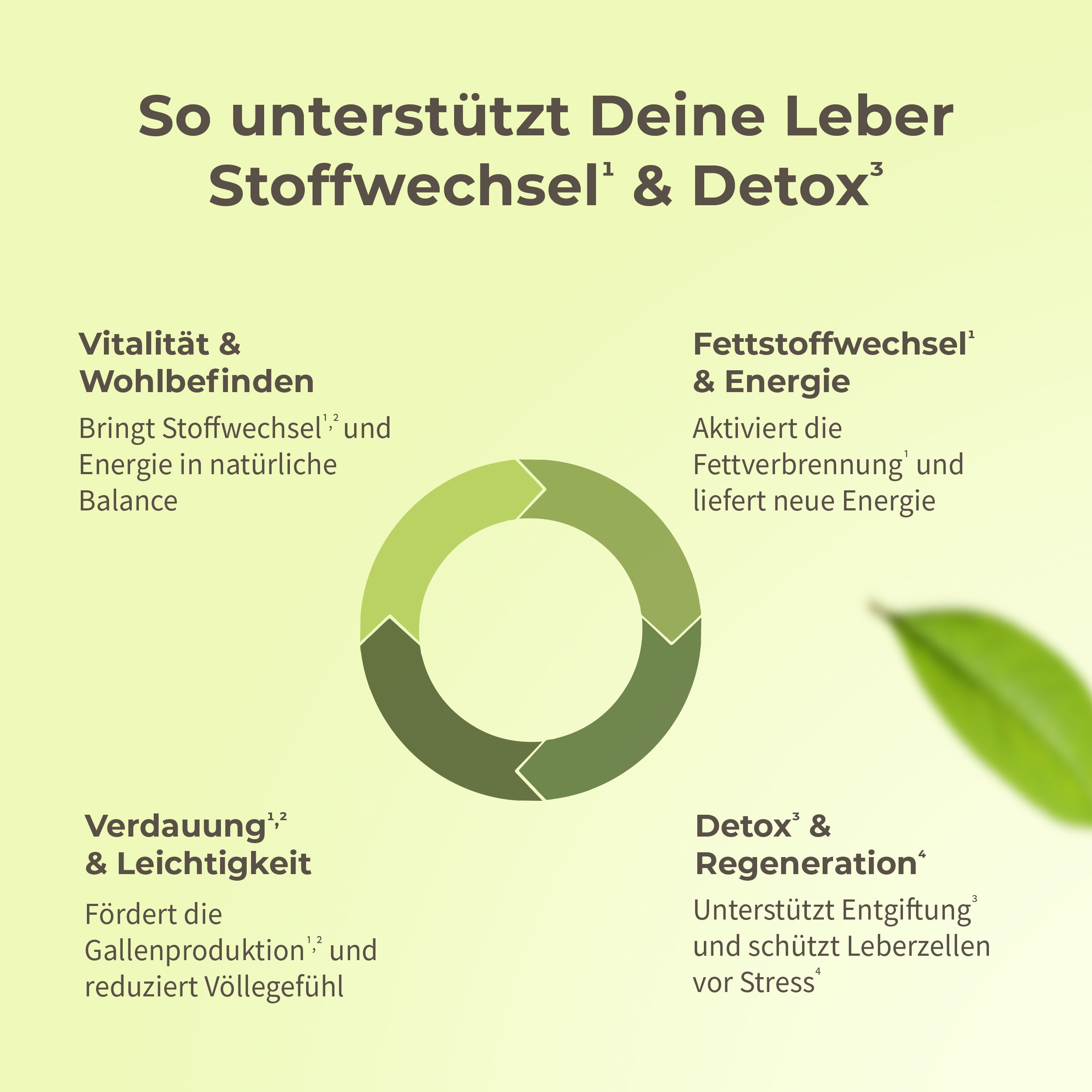 Leber* Komplex Kapseln