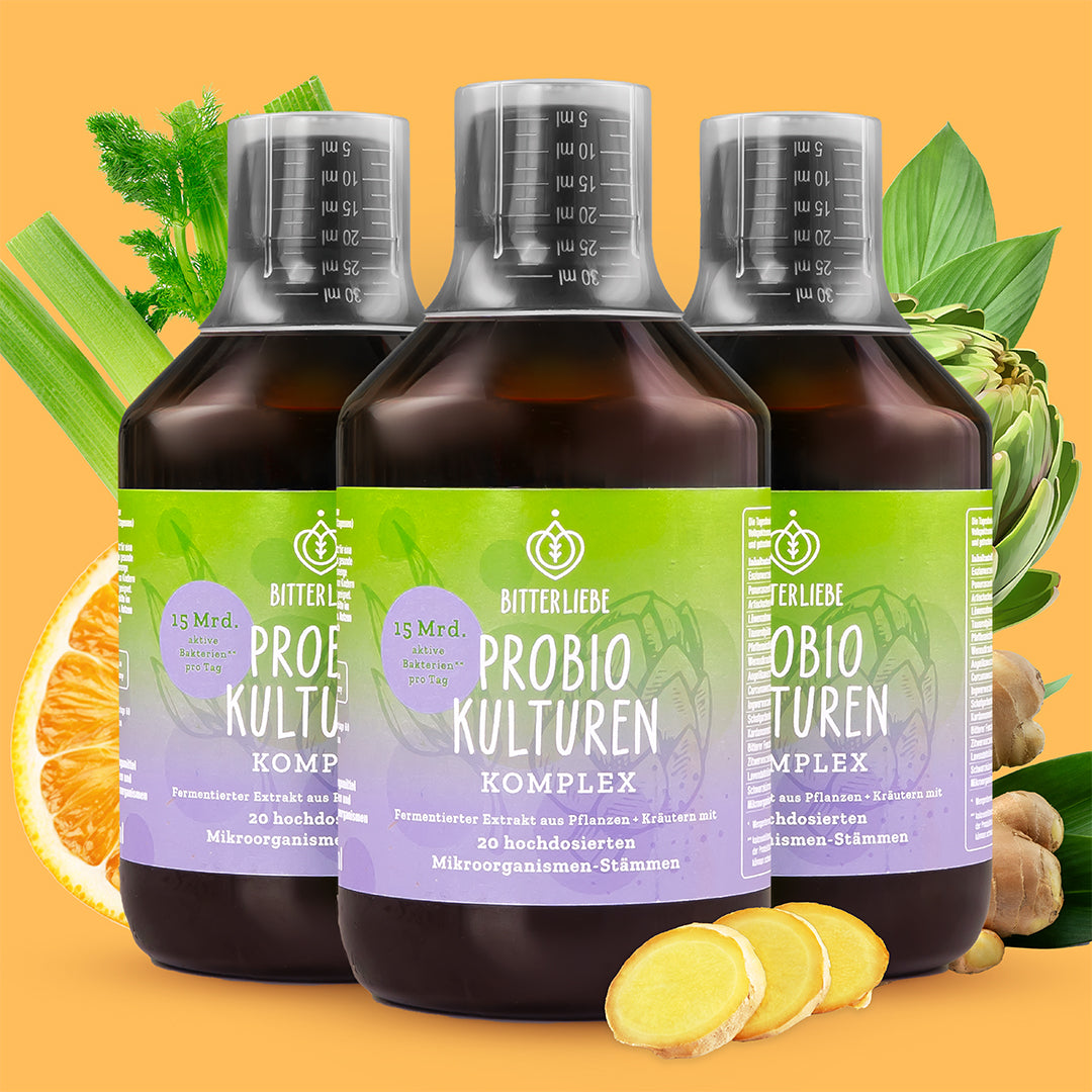 Bitter Probio-Kulturen Komplex - 3-Monats-Set (1,5L)